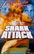 Shark attack video