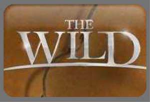 WildLogoWeb.jpg